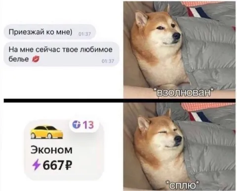 Любимое бельё и эконом такси