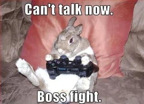 Rabbit Can't Talk During Boss Fight