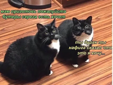 Серёга хочет бутеры