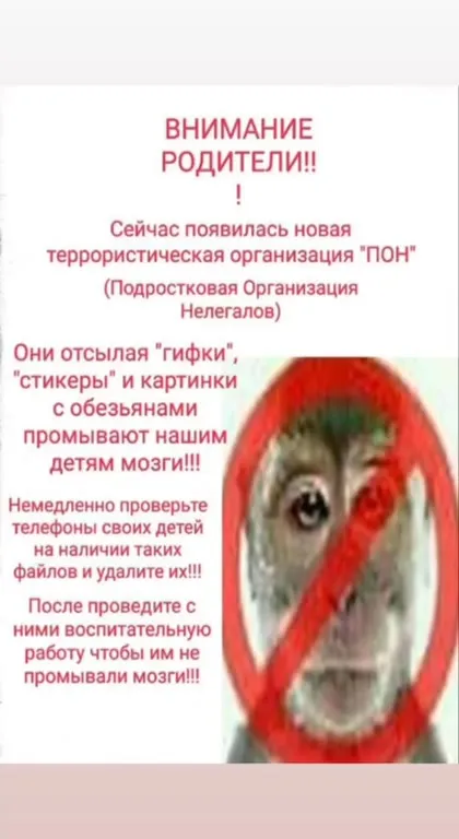 Террористическая организация ПОН
