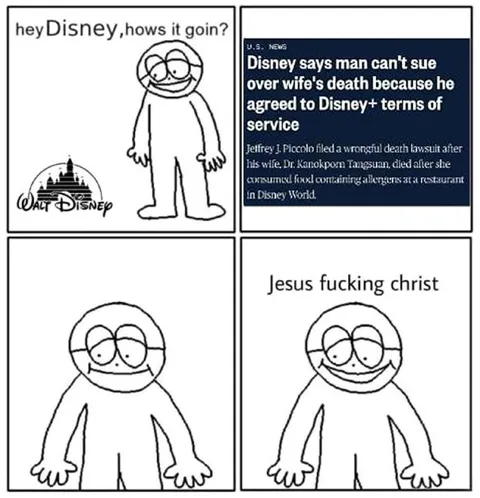 Disney Terms of Service Lawsuit