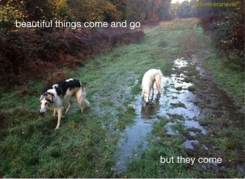 Beautiful Things Come and Go