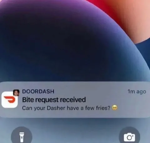 Dasher Asking for Fries