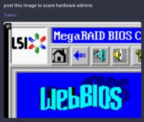 MegaRAID WebBIOS Horror