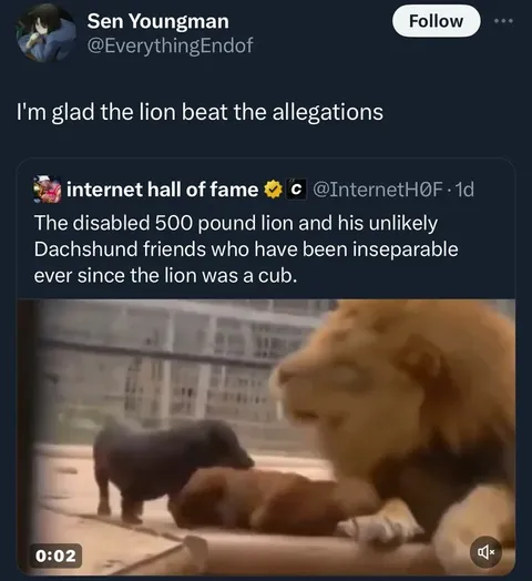 Lion Beats the Allegations