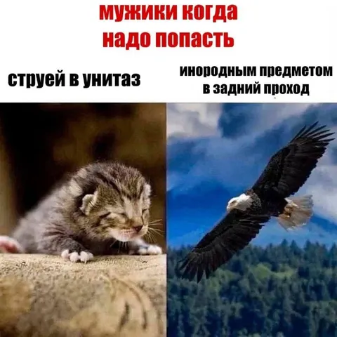 Мужики выбирают способ попасть