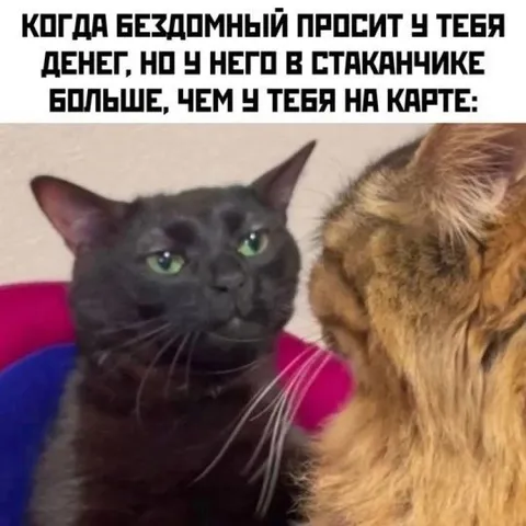 У бездомного больше денег
