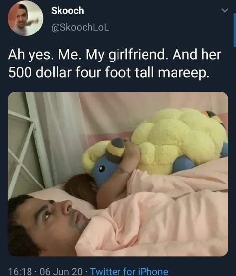 Girlfriend’s giant Mareep plush