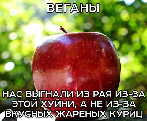 Веганы и запретный плод