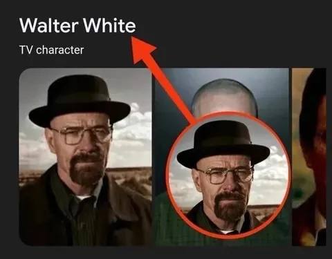Walter White TV Character