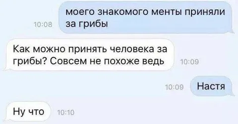 Приняли человека за грибы