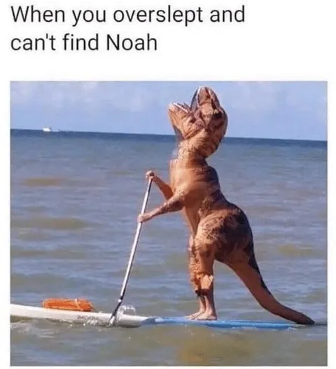 Overslept and Can't Find Noah