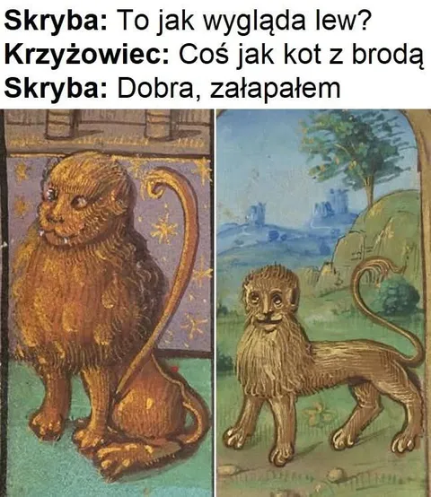 Kot z brodą wygląda dziwnie