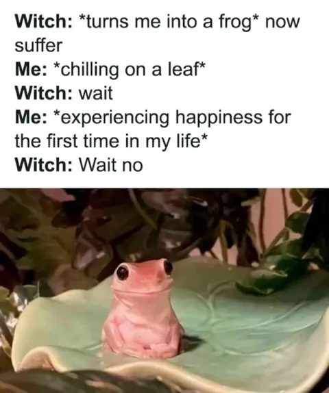 Witch Turns Me Into a Frog