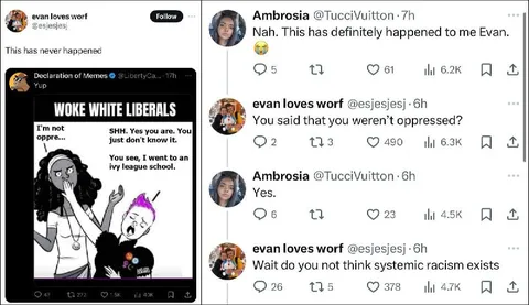 Woke White Liberals Argument