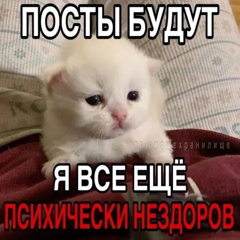 Посты будут, я ещё болен