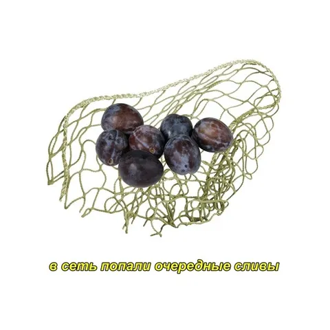 В семь попали очередные сливы