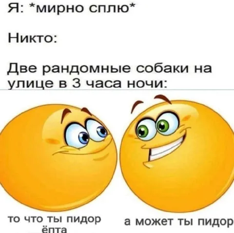 Две рандомные собаки ночью