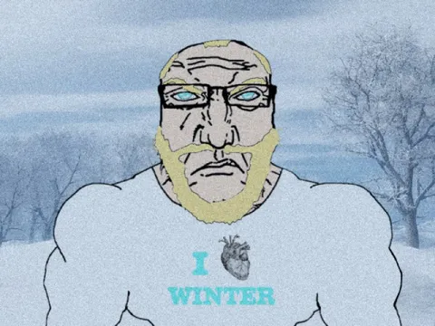 I Winter Meme