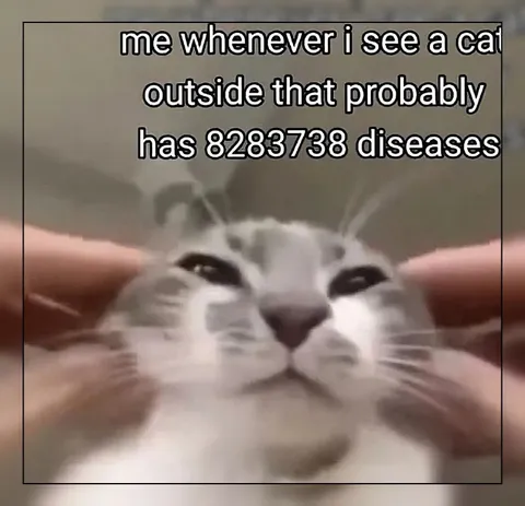 Cat With 8283738 Diseases