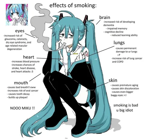Effects of Smoking Miku
