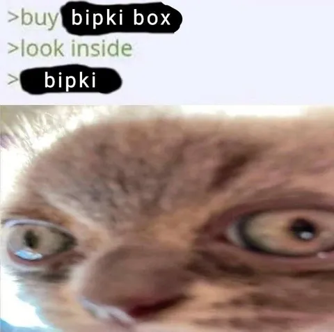 Bipki Box Surprise
