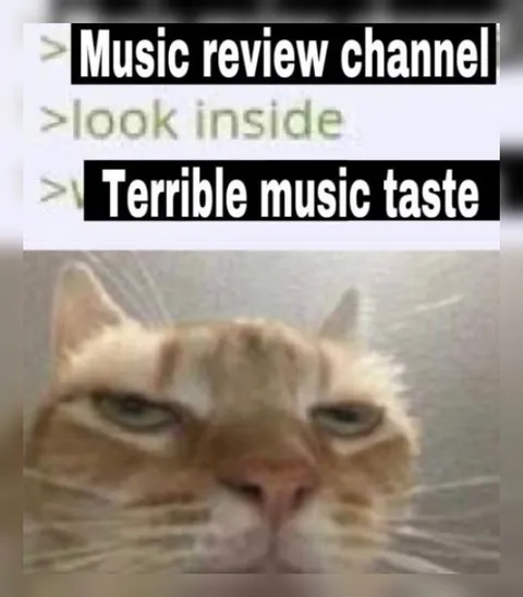 Terrible Music Taste Cat