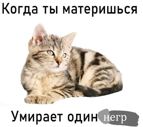 Когда ты материшься