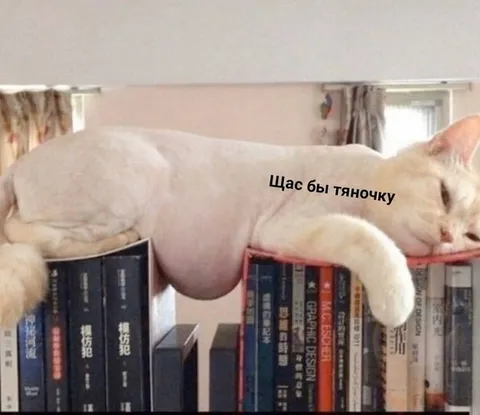Щас бы тяночку