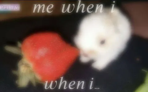 Me When I See It