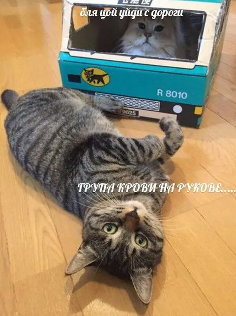 Группа крови на рукаве
