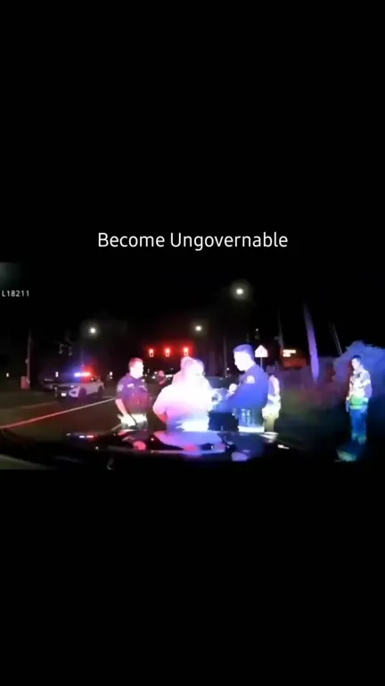 Become Ungovernable Traffic Stop
