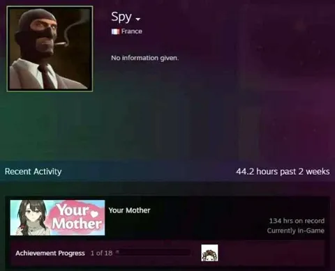Spy Has 134 Hours in Your Mother