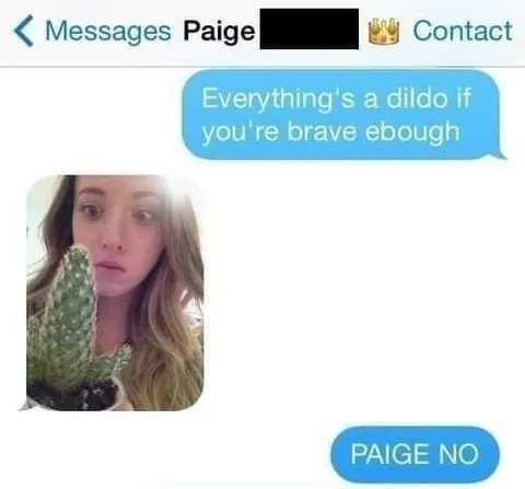 Everything's a Dildo