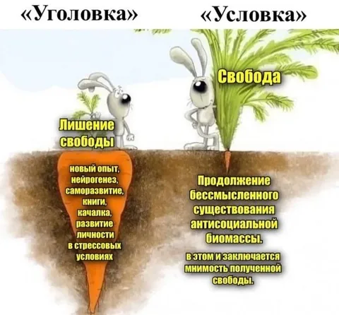 Лишение свободы и свобода