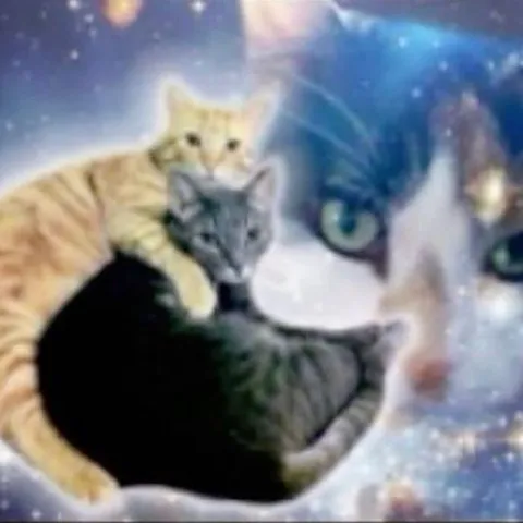 Космические коты в объятиях