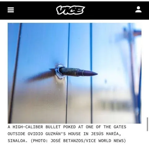 Bullet Poked Through Gate