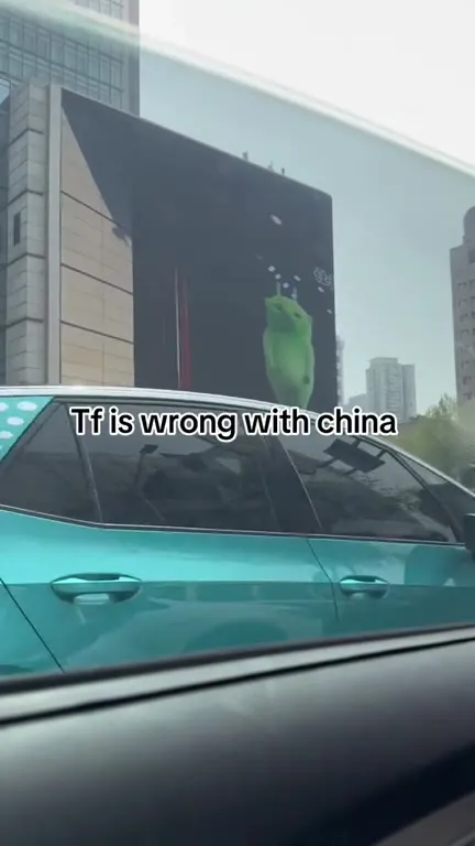 Tf Is Wrong With China