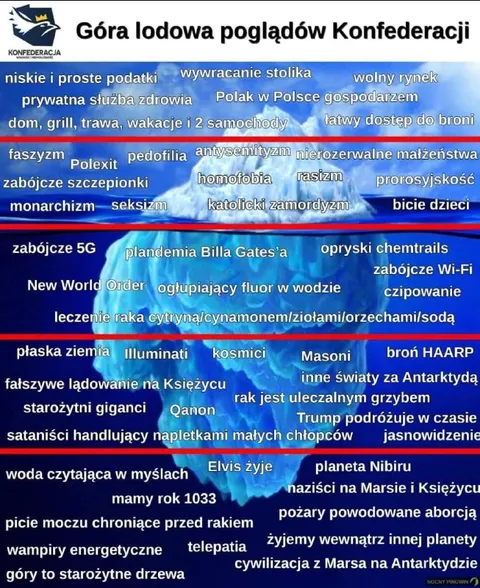 Góra lodowa poglądów Konfederacji