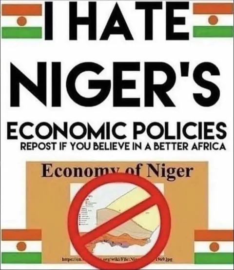 I Hate Niger’s Economic Policies