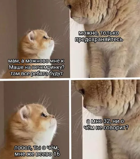 Мама разрешила вечеринку