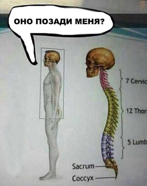 Оно позади меня?