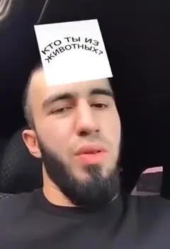 Кто ты из животных?