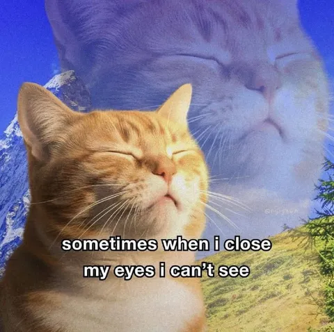 Cat Closes Its Eyes
