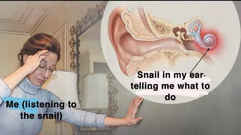 Snail in My Ear Giving Advice