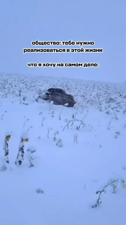 Хочу просто убежать в снег