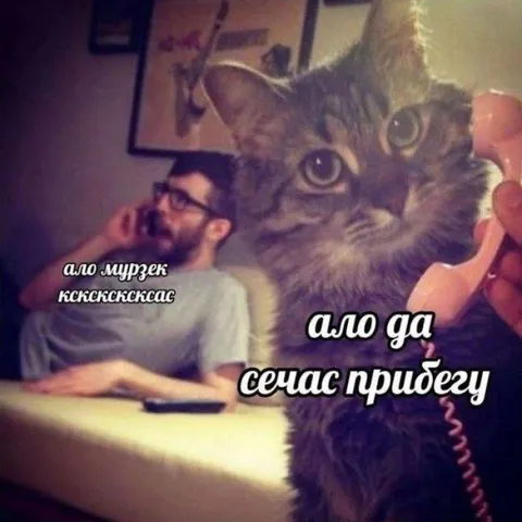 Алло, сейчас прибегу
