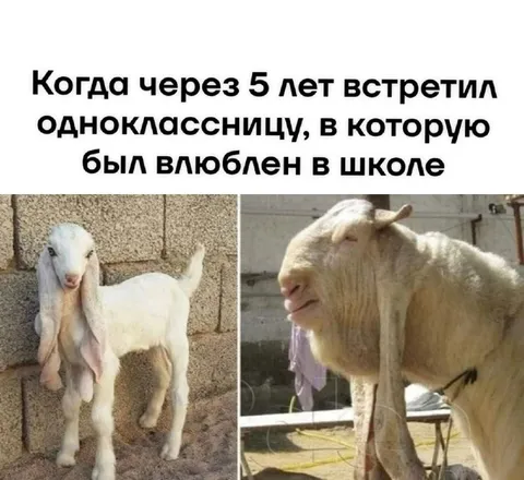 Встреча с одноклассницей через 5 лет