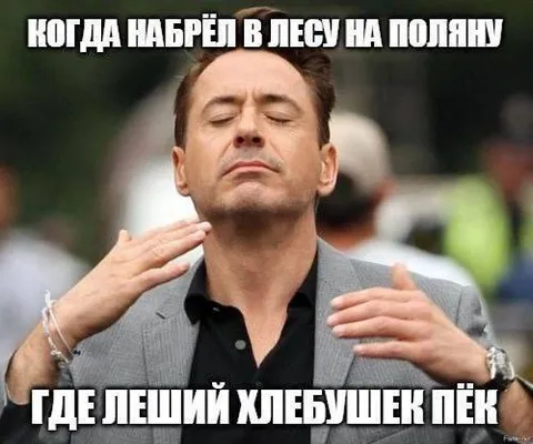 Когда набрёл в лесу на поляну