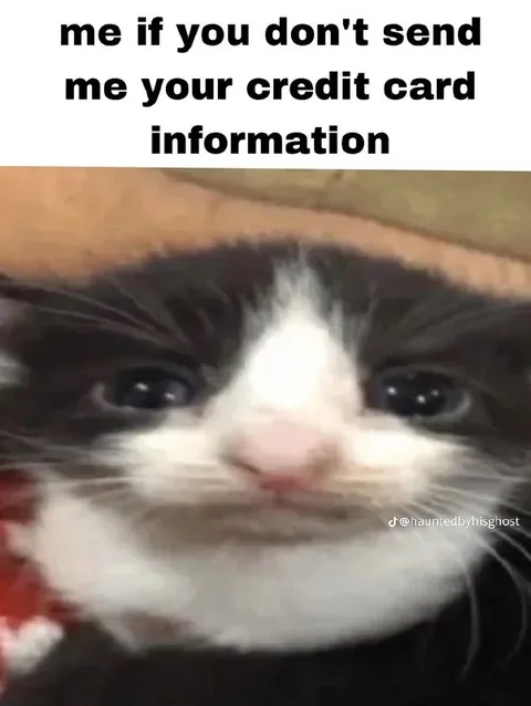 Crying Cat Wants Card Details
